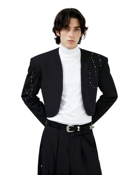 Structured Curve-Panel Cropped Blazer with Embellished Detailing and Wide Leg Pants Two-Piece Set - nightcity clothing