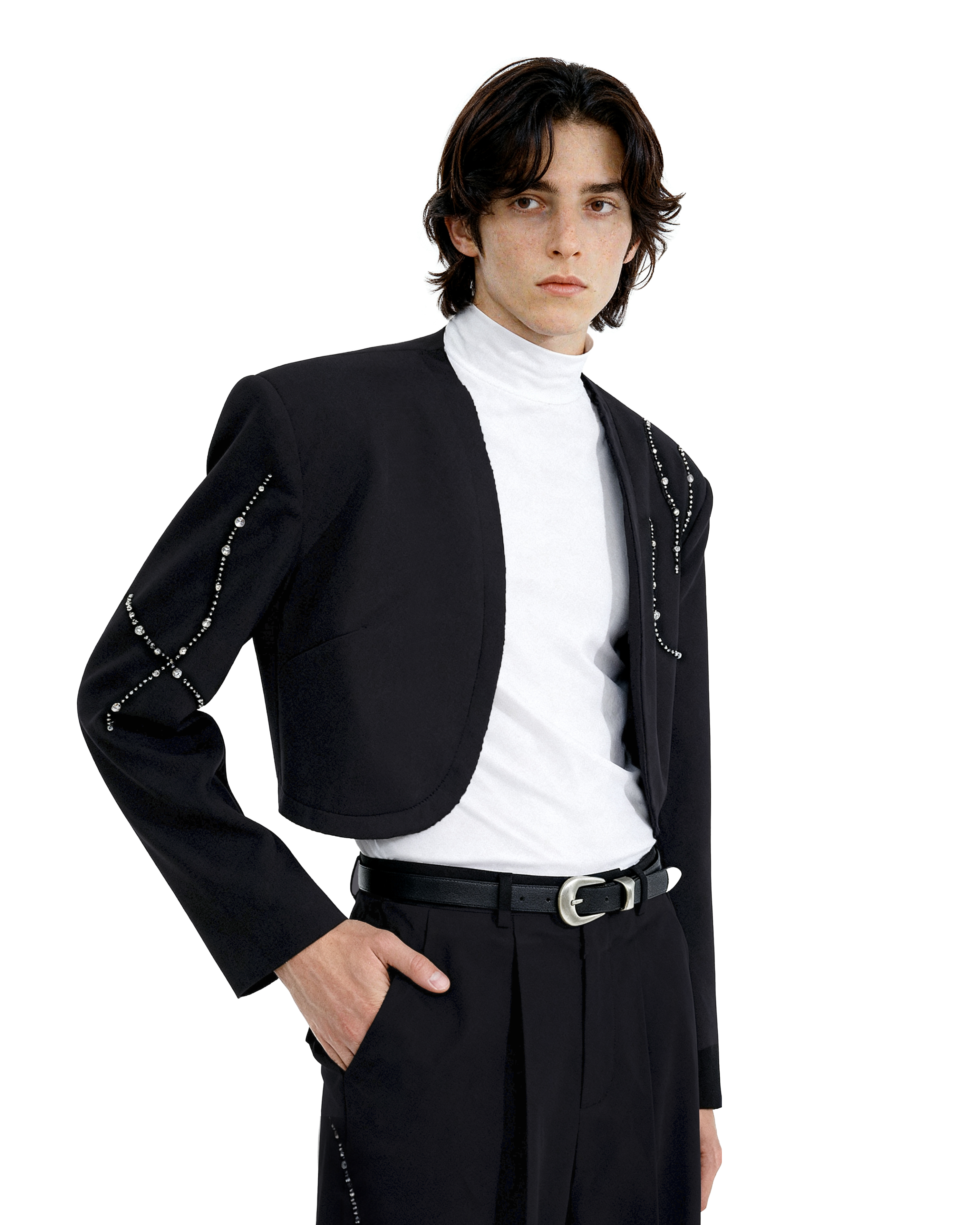 Structured Curve-Panel Cropped Blazer with Embellished Detailing and Wide Leg Pants Two-Piece Set - nightcity clothing
