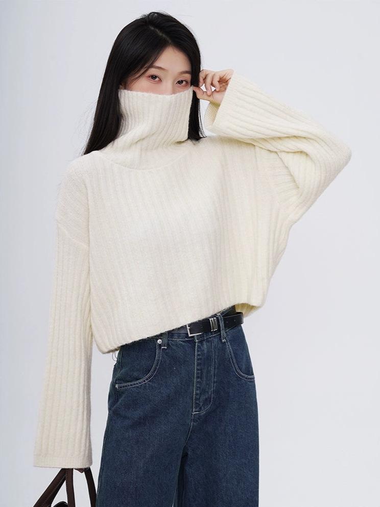 Drop Shoulder Turtleneck Ribbed Knit Top