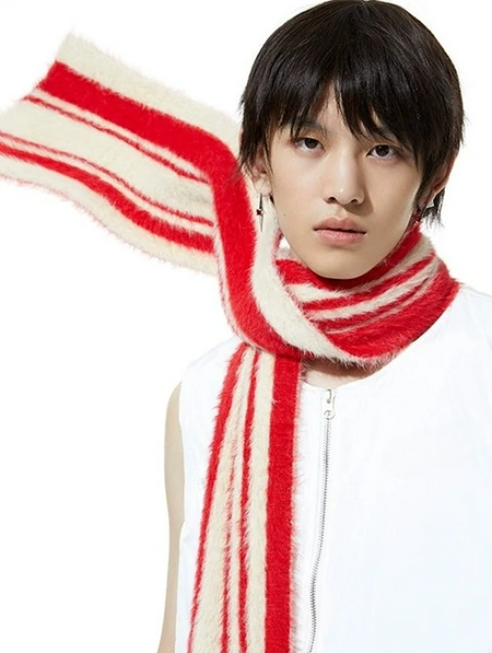 Zebra Stripe Plush Hooded Scarf