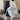 Color Block Cropped Blazer and Mini Skirt Two-Piece Set - nightcity clothing