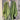 Mock Layered Pin Stripe Block Suit Jacket - nightcity clothing