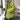 Oversized Mock-Layered Denim Puffer Jacket - nightcity clothing