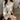 Slim Diagonal Checkerboard Cardigan - nightcity clothing