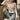 Ribbed Overlap Long Sleeve Top - nightcity clothing