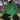 Oversized Hoodie - nightcity clothing