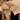 Slim Mid-Crop Teddy Jacket - nightcity clothing
